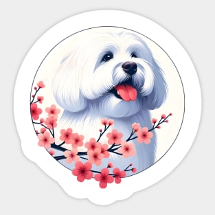 Coton de Tulear Enjoying Spring Cherry Blossoms Sticker